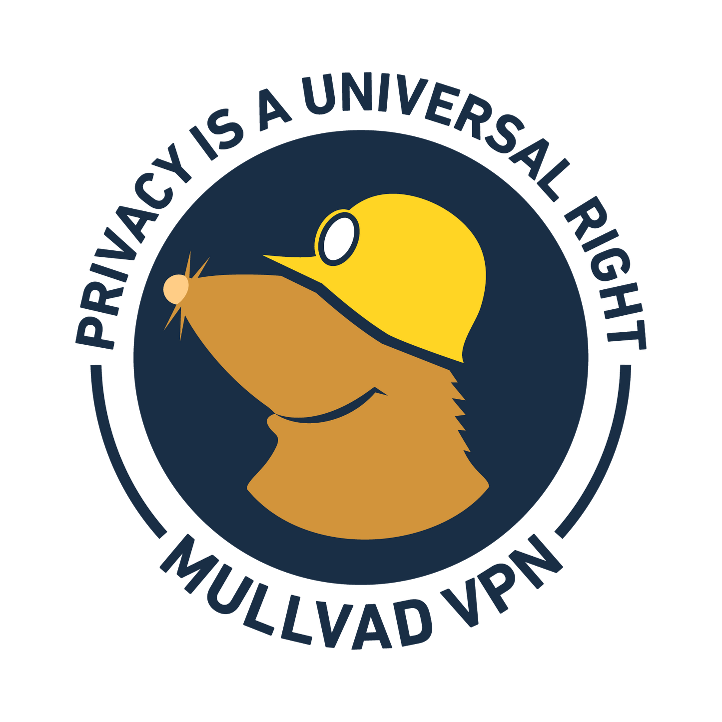 MULLVAD VPN 5 devices - 6 MONTHS